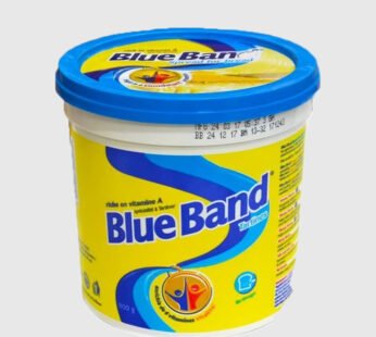 Blue Band Spread For Bread 250 g